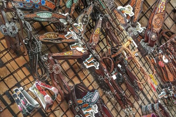 From Saddles to Stable Supplies: StablesLive’s Trusted Ecommerce Store