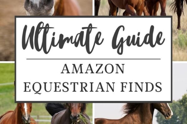 Top Deals on Horse Supplies & Rider Essentials – Shop StablesLive Now